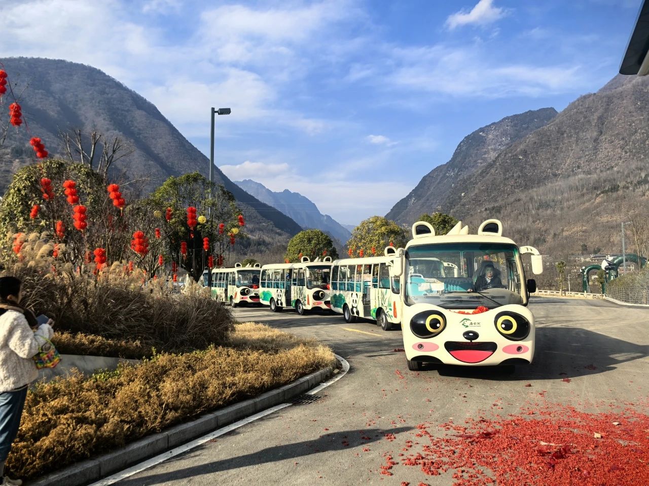 2025年景区交通该往哪儿发力？幸运彩观光车助力打造景区交通运营新“范式”